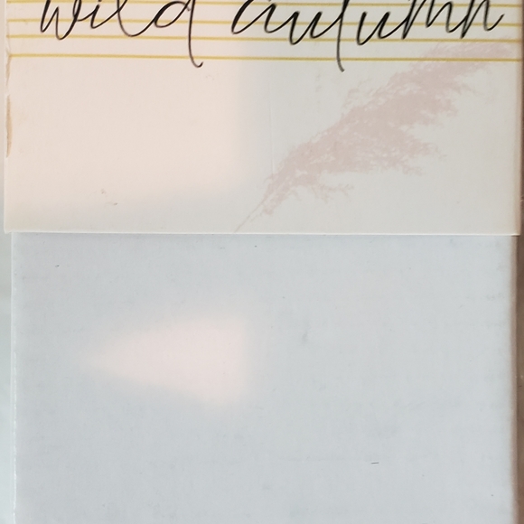 Wild Autumn Natural Pampas Grass Decorations - Bring Nature Into Your Home - Picture 2 of 3